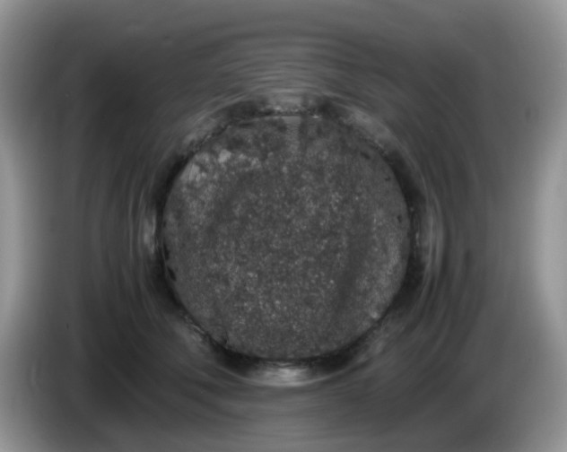 X0000086240610200704121935