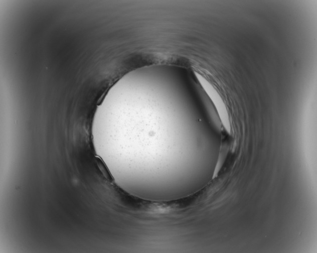 X0000086240613200704121935