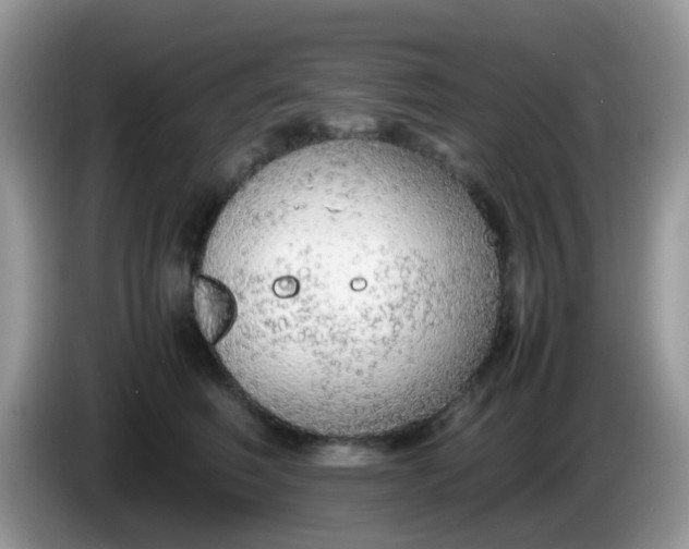 X0000086240614200704121935
