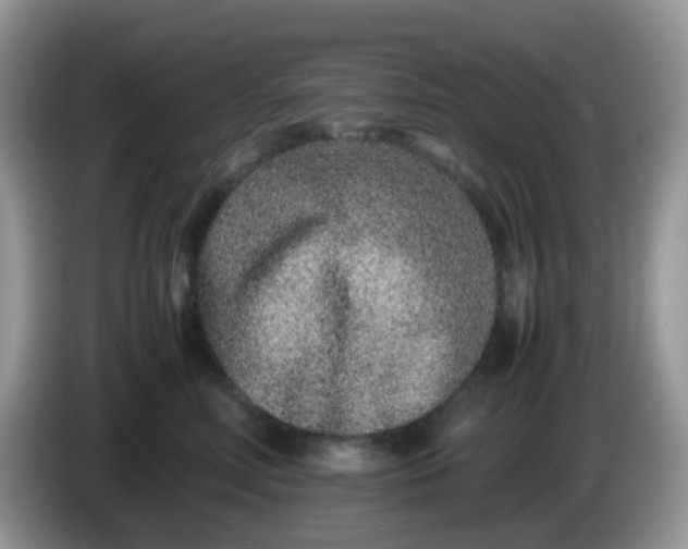 X0000086240618200704121935