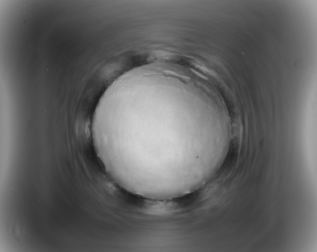 X0000086240621200704121935