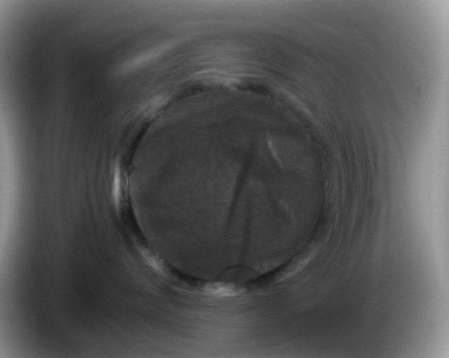 X0000086240624200704121934