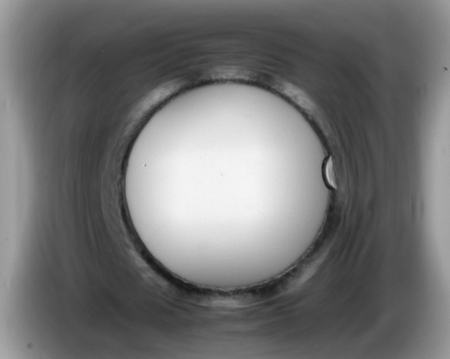 X0000086240625200704121934