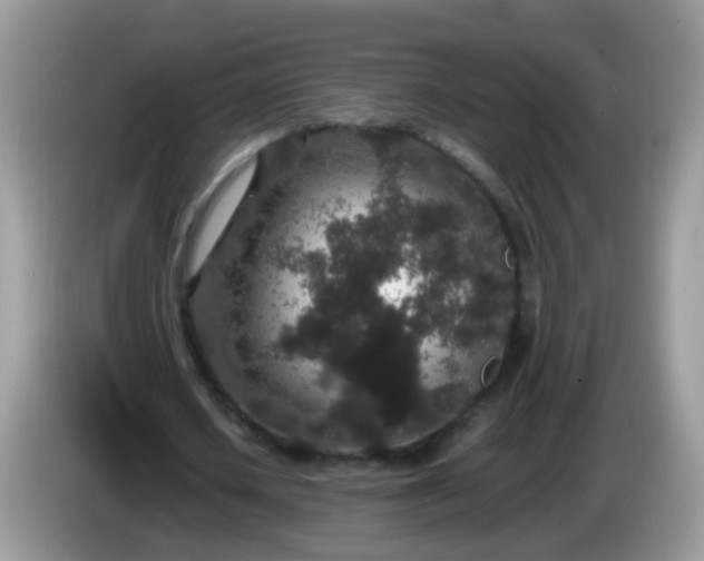 X0000086240626200704121934