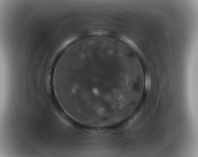 X0000086240627200704121934