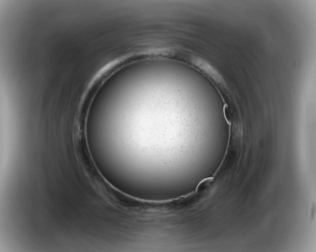 X0000086240628200704121934