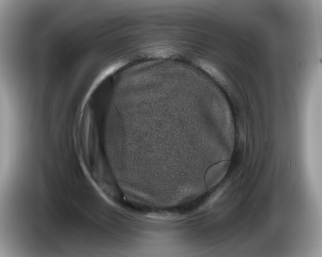 X0000086240630200704121934