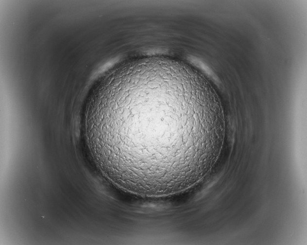 X0000086240631200704121934