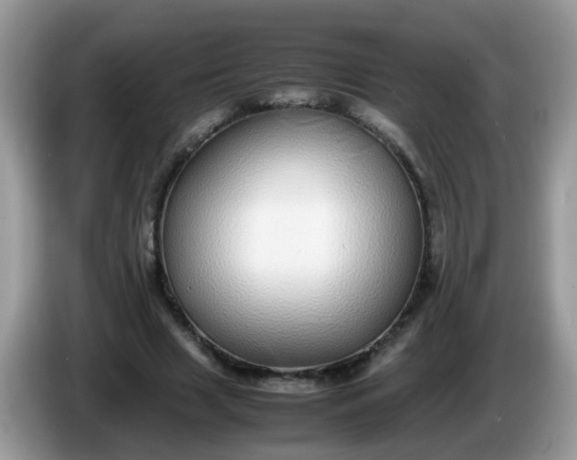 X0000086240633200704121934