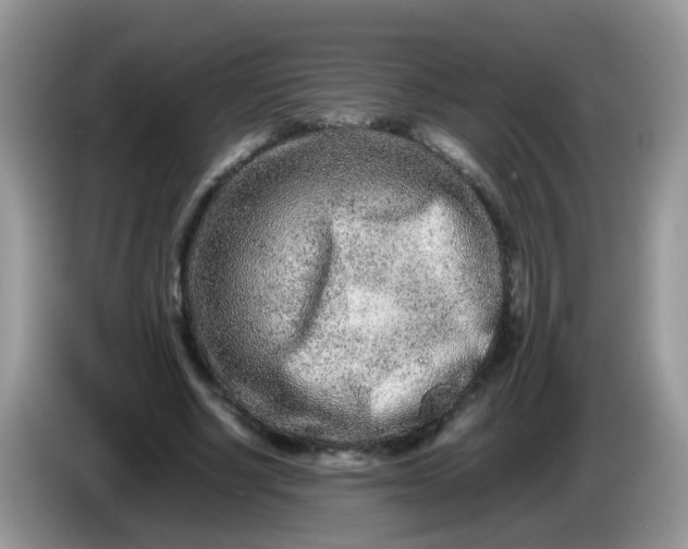 X0000086240634200704121934