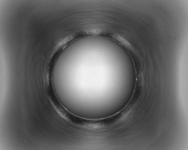 X0000086240638200704121934