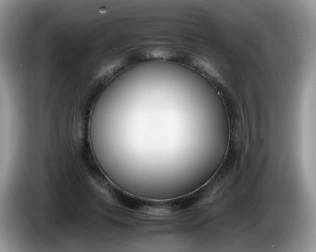 X0000086240639200704121934