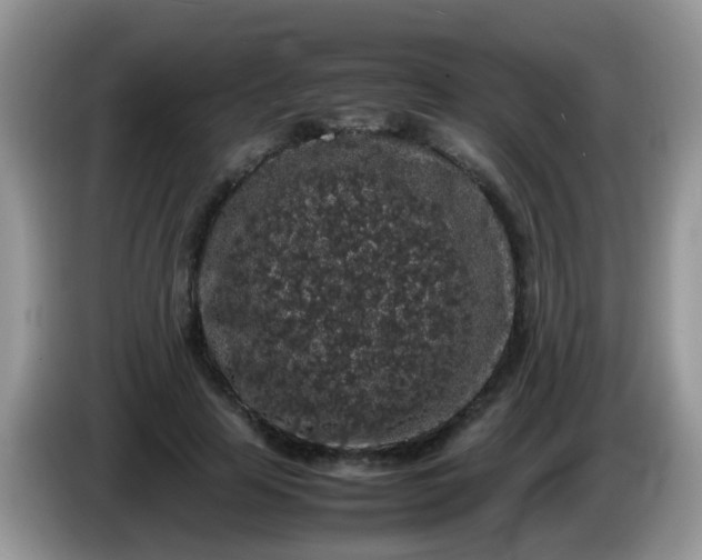 X0000086240641200704121934