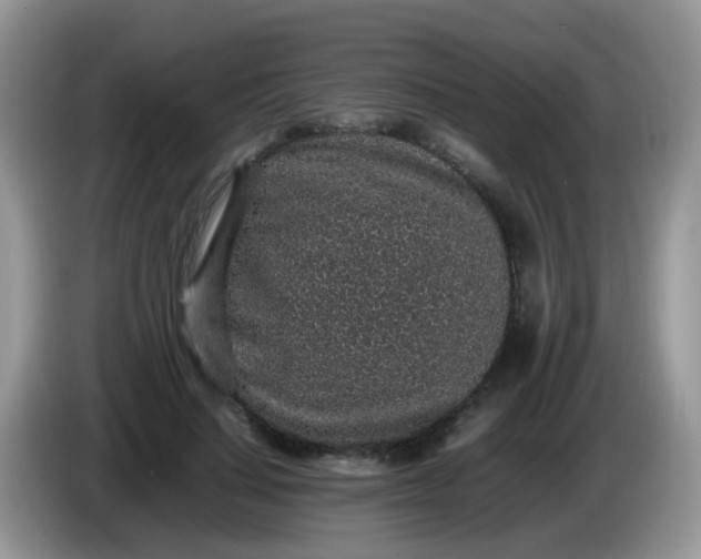 X0000086240644200704121934