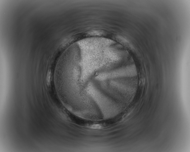 X0000086240647200704121934