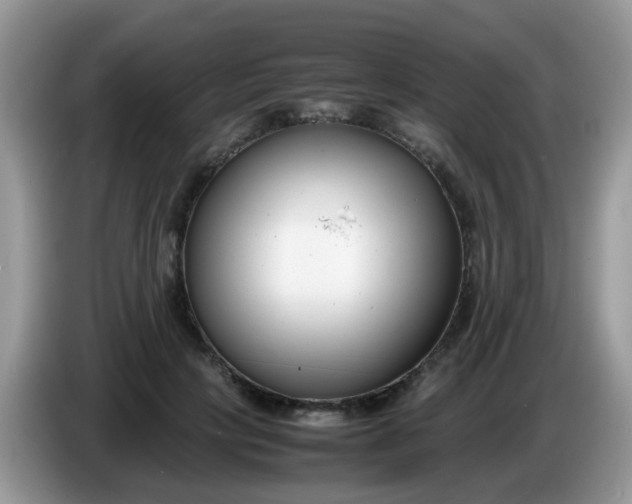 X0000086240649200704121934
