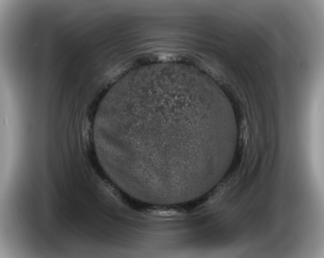 X0000086240650200704121934