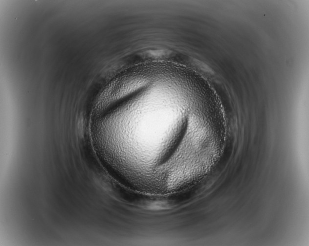 X0000086240651200704121934