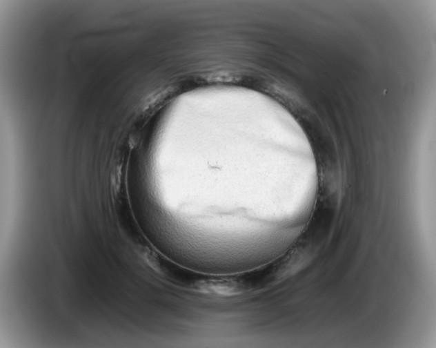 X0000086240652200704121934