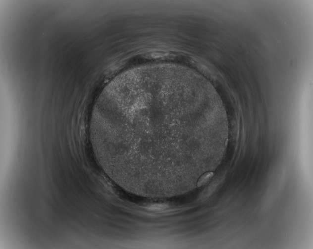 X0000086240653200704121934