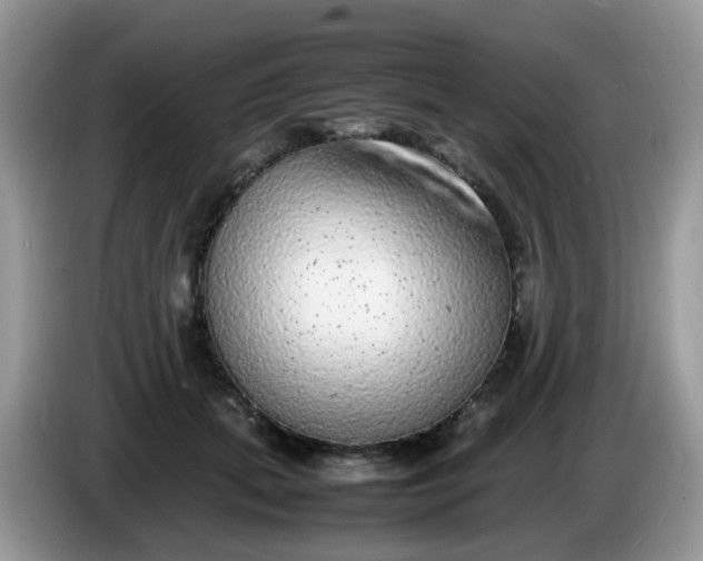 X0000086240655200704121934