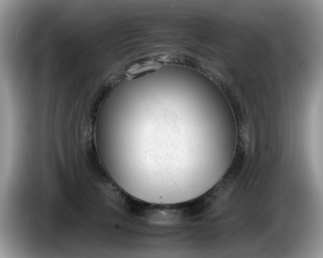 X0000086240657200704121934