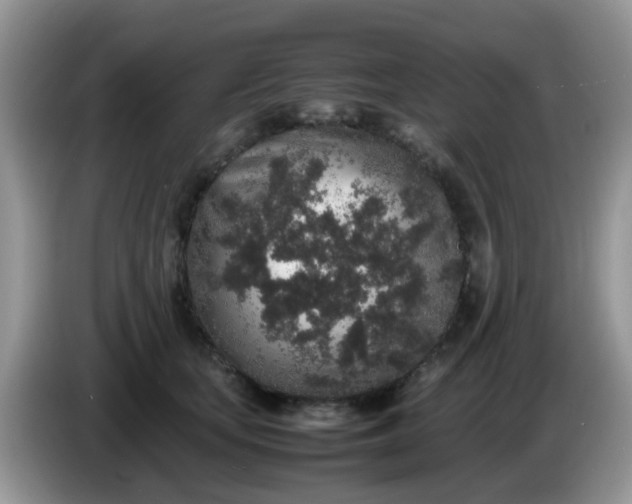 X0000086240659200704121934