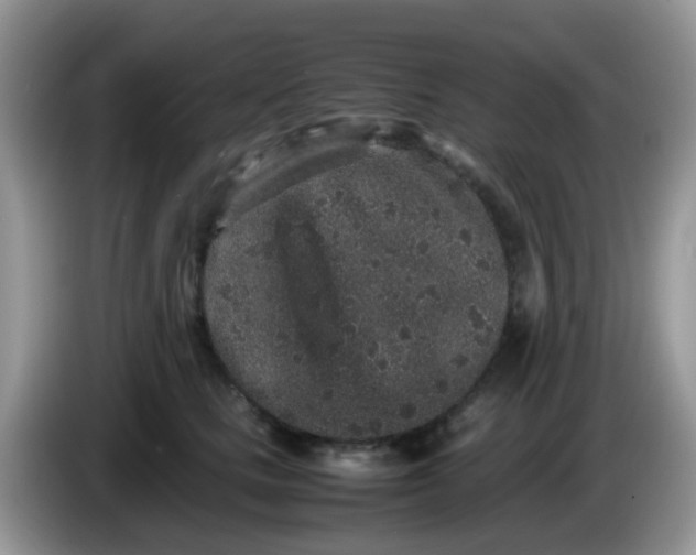 X0000086240661200704121934
