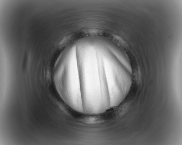X0000086240662200704121934