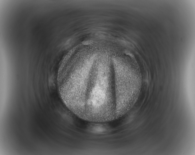 X0000086240663200704121934