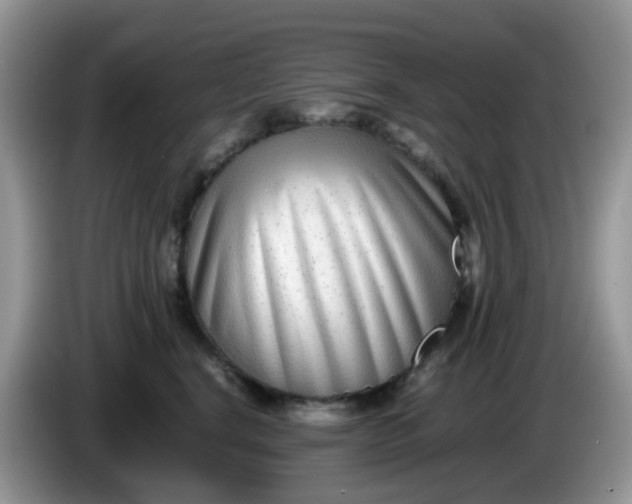 X0000086240664200704121934