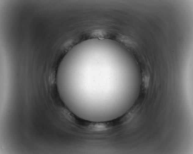 X0000086240665200704121934