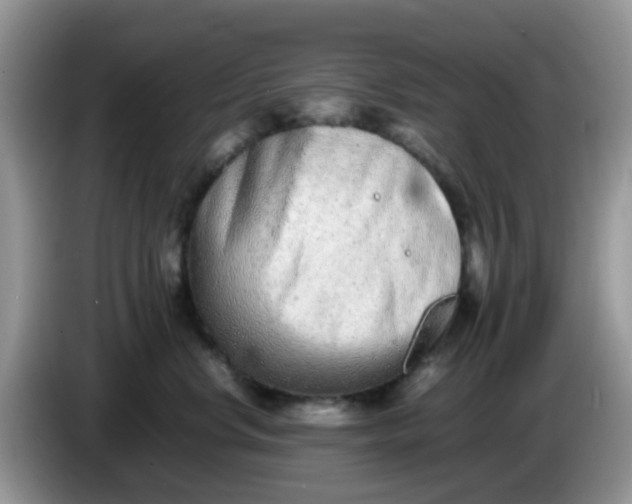 X0000086240668200704121934