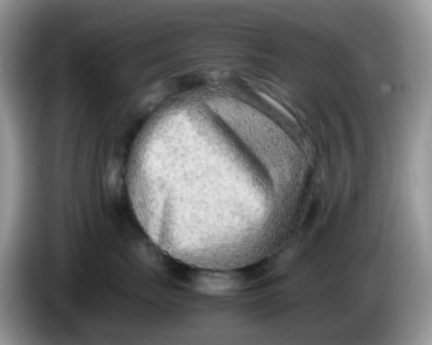 X0000086240671200704121934