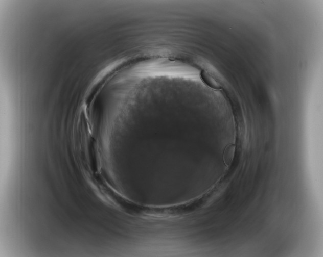 X0000086240674200704121934