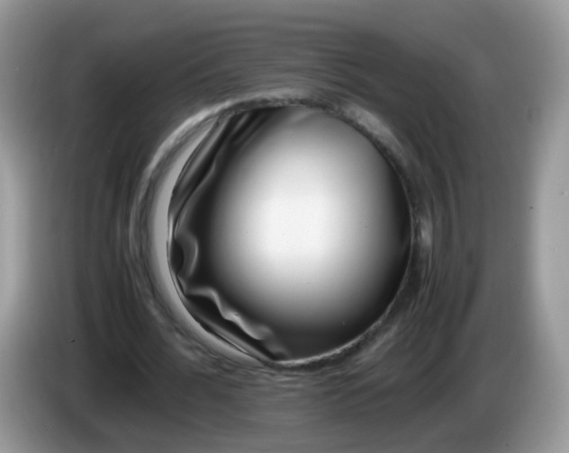 X0000086240676200704121934