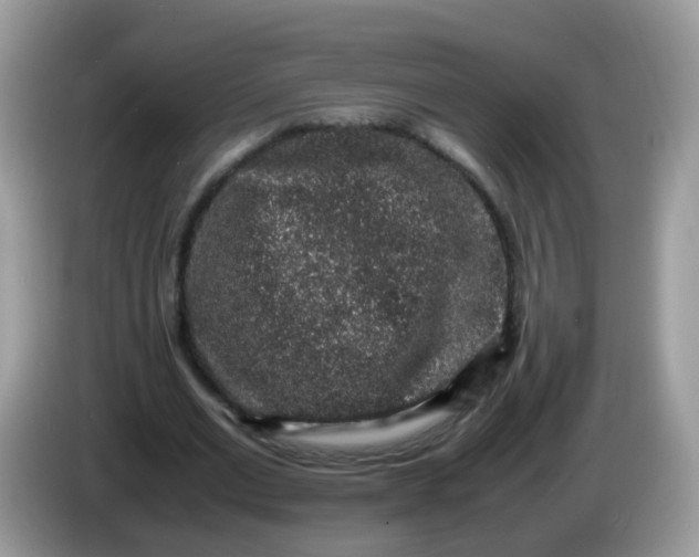 X0000086240677200704121934