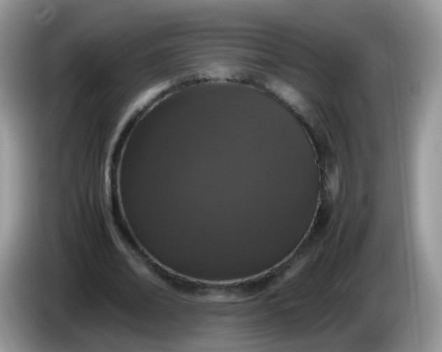 X0000086240678200704121934