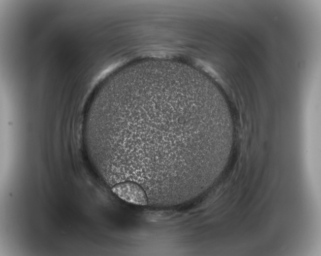 X0000086240679200704121934
