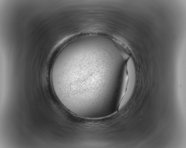 X0000086240680200704121934