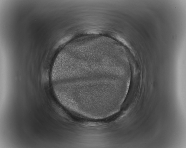 X0000086240681200704121934
