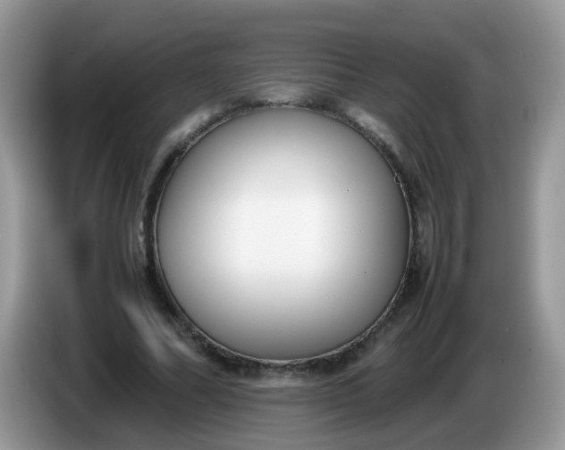 X0000086240682200704121934
