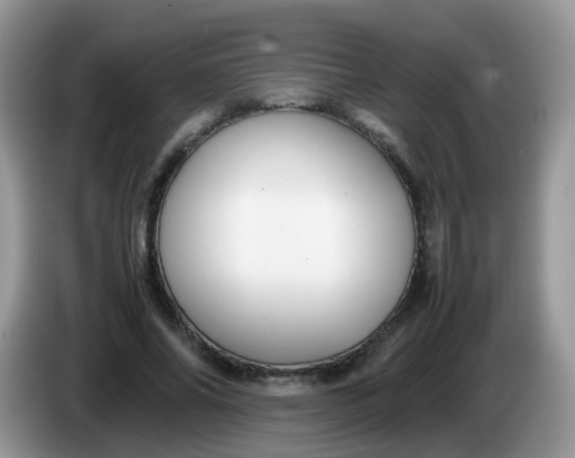 X0000086240686200704121934