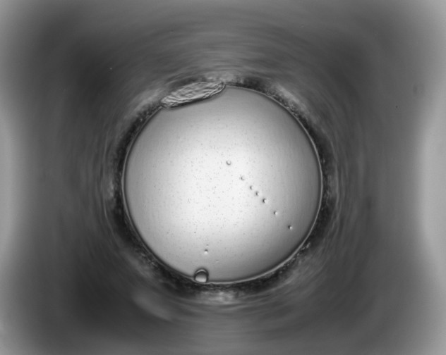 X0000086240687200704121934