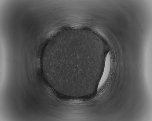 X0000086240689200704121934