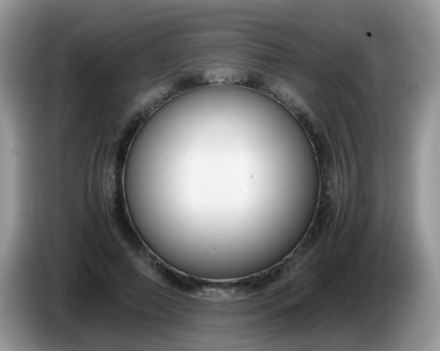 X0000086240690200704121934