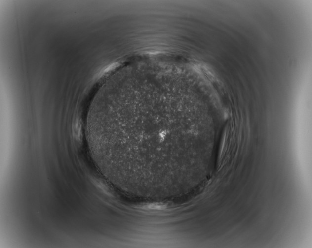X0000086240692200704121934