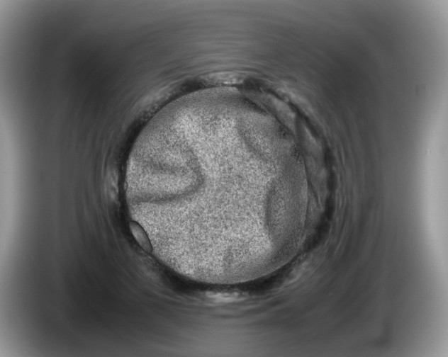 X0000086240693200704121934