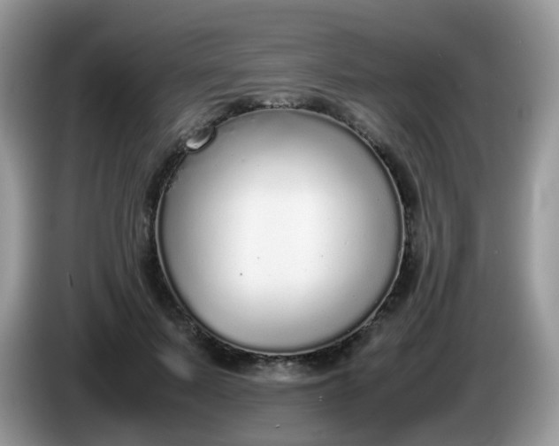 X0000086240695200704121934