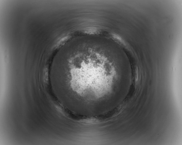 X0000086240696200704121934